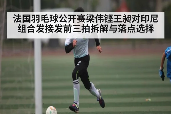 法国羽毛球公开赛梁伟铿王昶对印尼组合发接发前三拍拆解与落点选择 - AIYOUXI